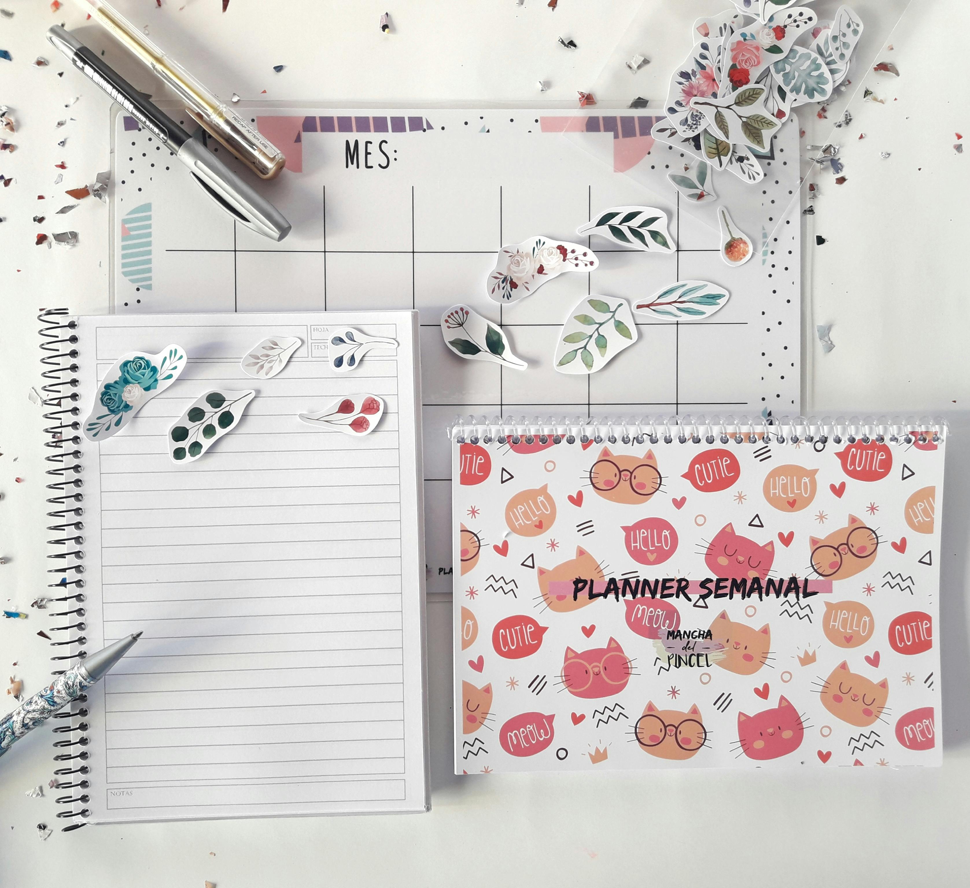 Steady Support Through Backwatch Monthly Contribution