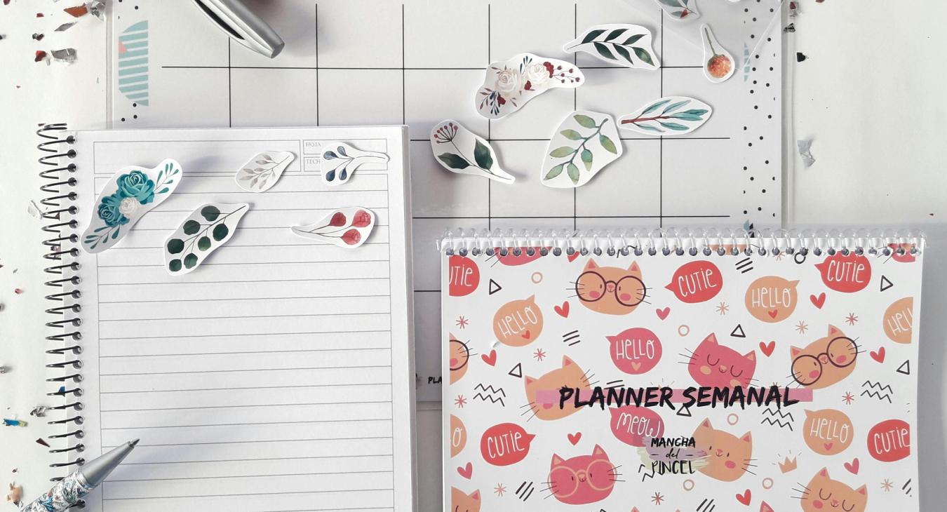 Steady Support Through Backwatch Monthly Contribution